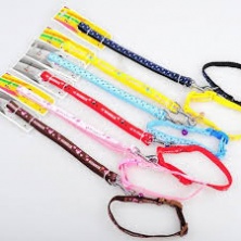 Dắt và vòng cổ size NHỎ