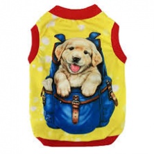 Quần áo thú cưng SIZE 15