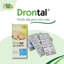 Thuốc xổ giun Drotal dành cho mèo 