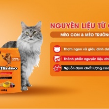 Combo 32 gói thức ăn mèo Minino gói 480gr