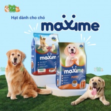 Hạt cho chó Maxime 