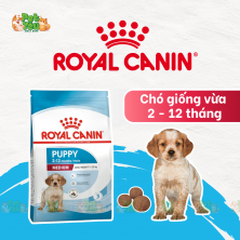 ROYAL CANIN MEDIUM PUPPY - Thức ăn dành chó giống vừa ( 2 - 12 tháng )