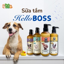 [ HẾT HÀNG ] Sữa tắm HelloBoss dành cho chó - chai 500ml