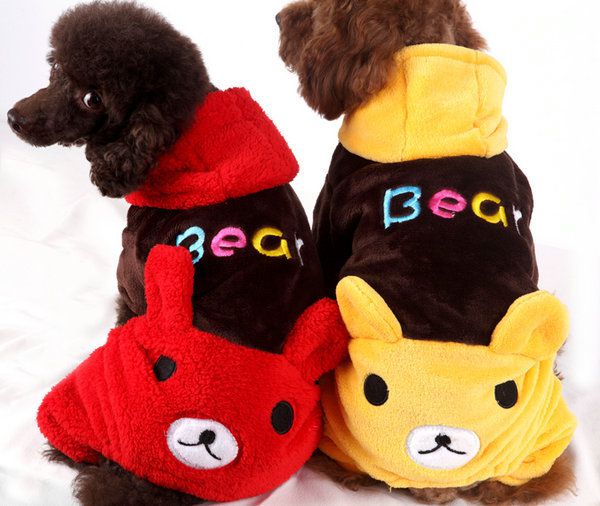 CÓ NÊN MẶC ĐỒ CHO CÚN CƯNG?