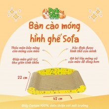 Bàn cào hình ghế Sofa cho mèo