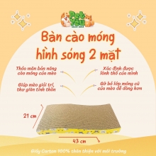 Bàn cào hình sóng hai mặt cho mèo