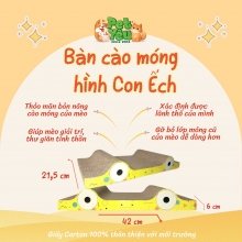 Bàn cào hình con ếch cho mèo