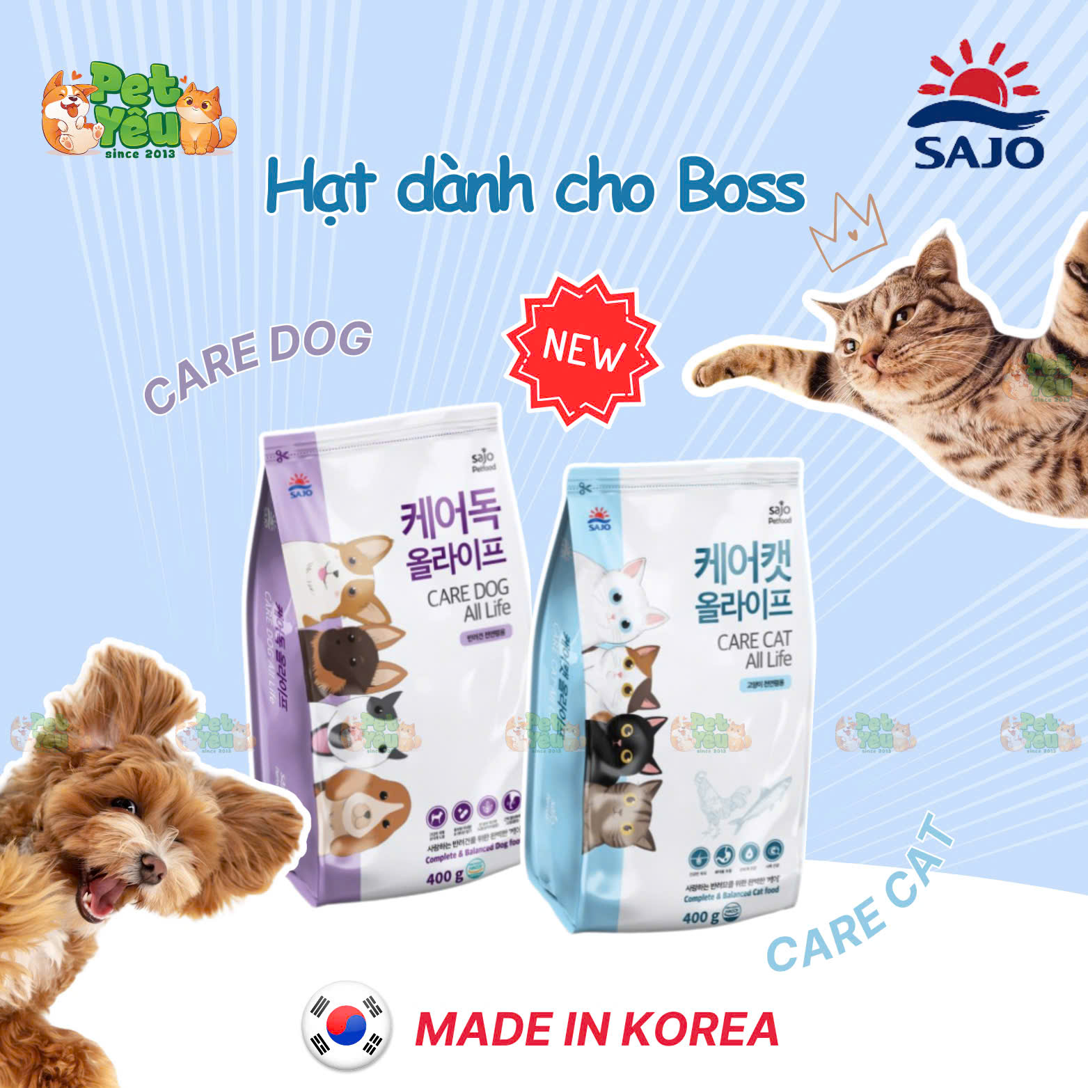 Hạt Care Dog dành cho chó