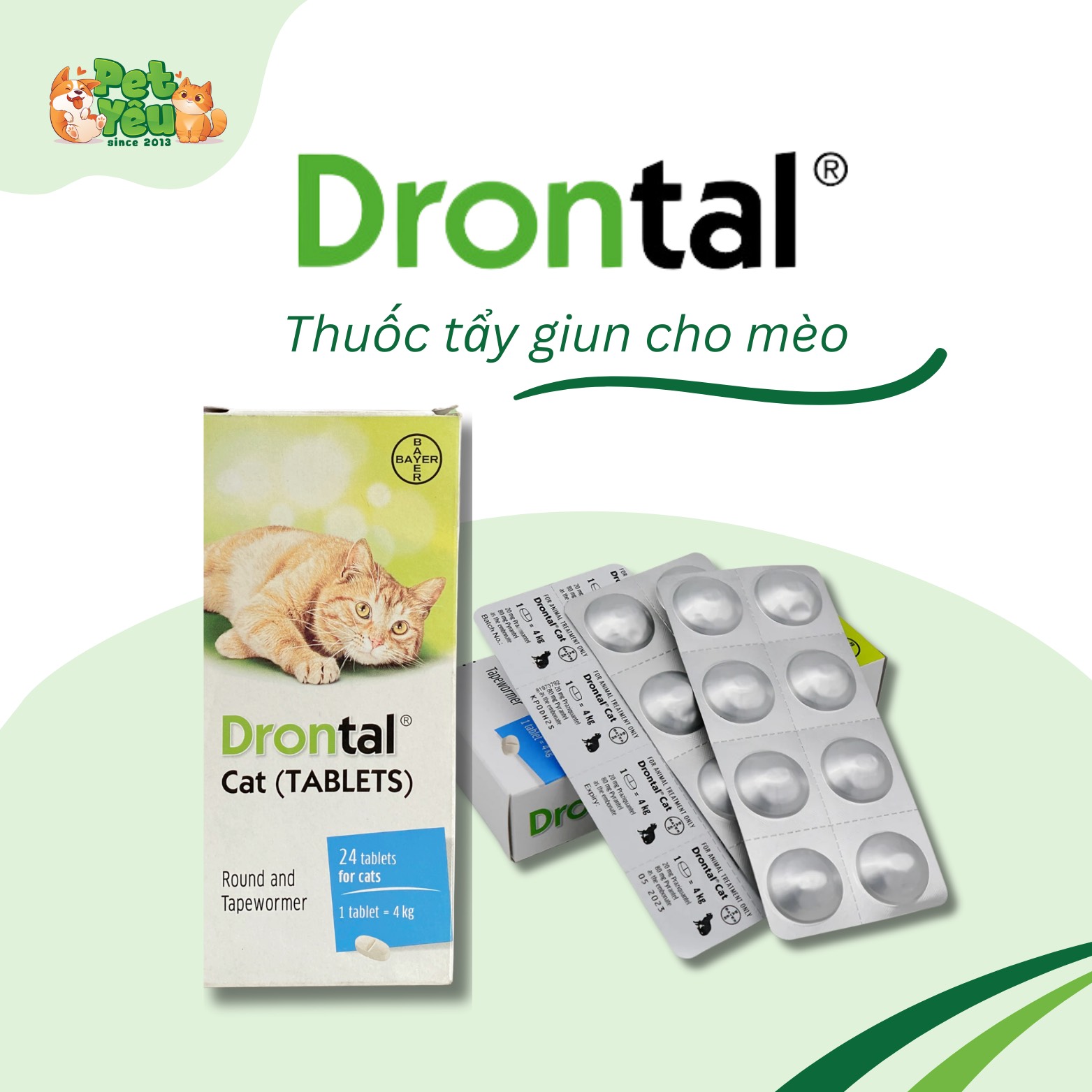 Thuốc xổ giun Drotal dành cho mèo 
