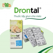 Thuốc xổ giun Drotal dành cho mèo 