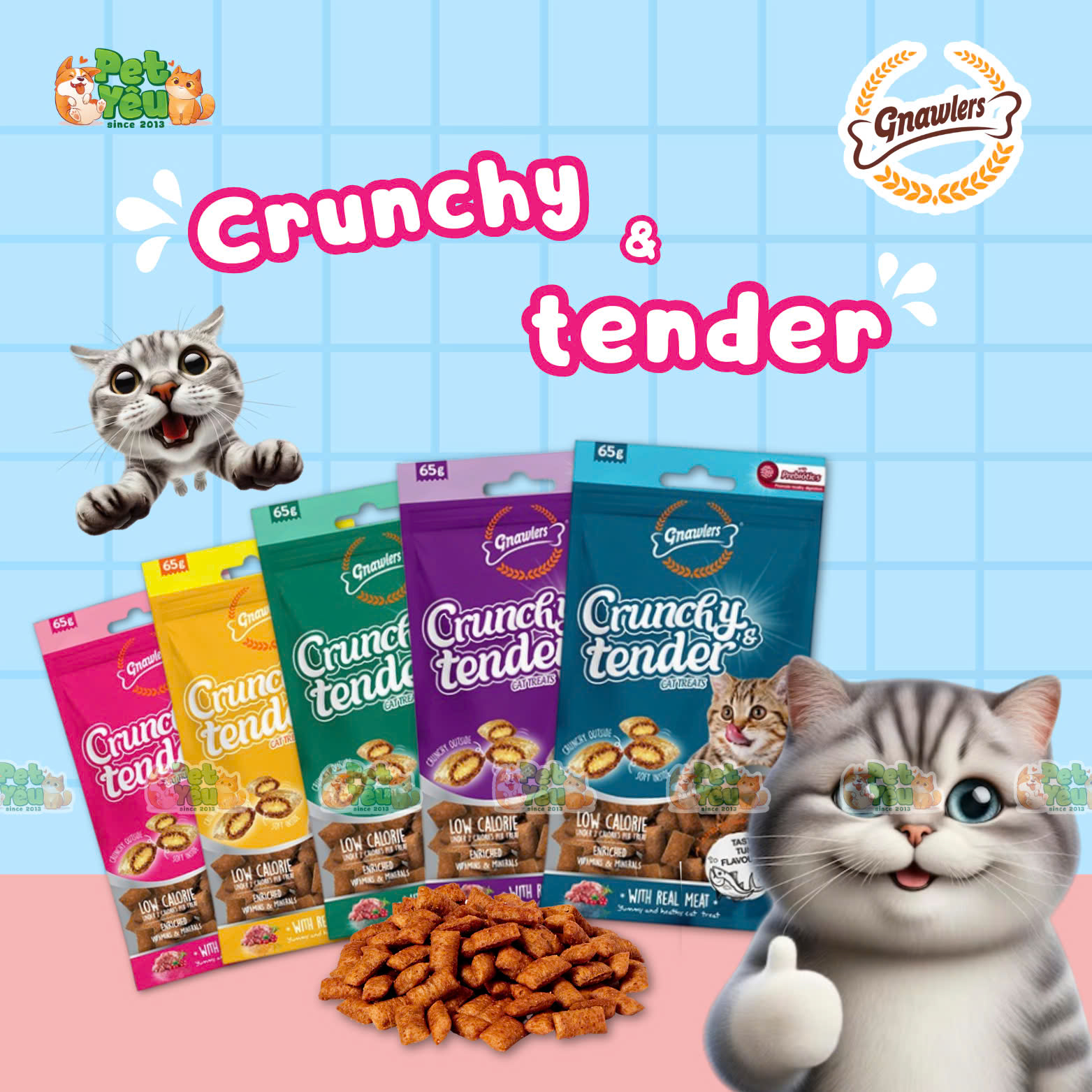 Bánh thưởng GNAWLERS Crunchy & Tender dành cho mèo 65g