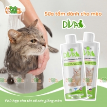 Sữa tắm DIVA xanh lá dành cho mèo 