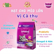 Thức ăn cho mèo lớn WHISKAS® Adult - vị cá thu bao 20kg