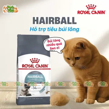 Hạt cho mèo Royal Canin HAIRBALL CARE - Hỗ trợ tiêu búi lông