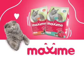 Thức ăn hạt cho mèo mọi lứa tuổi Maxime