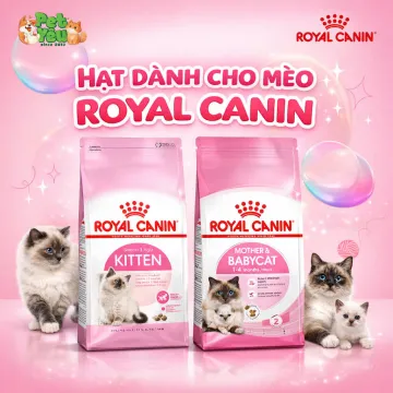 Thức ăn hạt Royal Canin dành riêng cho mèo mẹ & mèo con