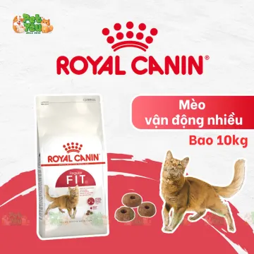 Thức ăn hạt Royal Canin Fit 32 cho mèo trưởng thành