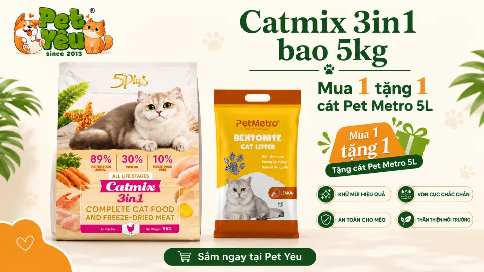 Khuyến mãi Pet Shop