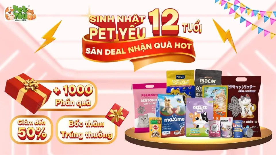 Khuyến mãi Pet Shop