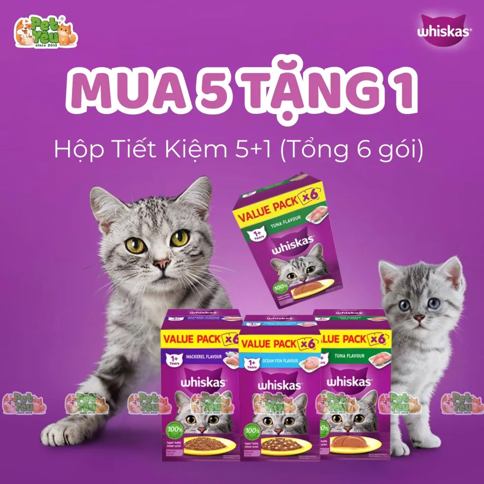 Khuyến mãi Pet Shop