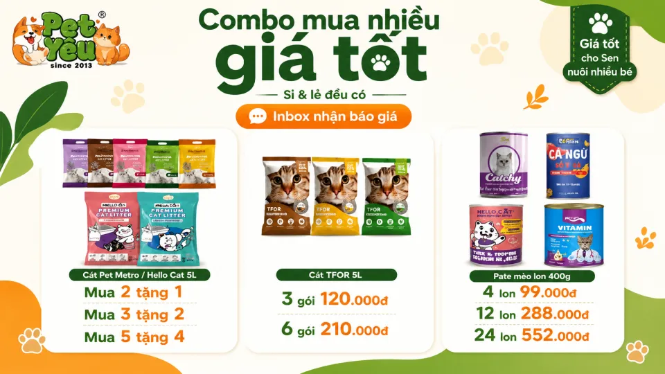 Khuyến mãi Pet Shop