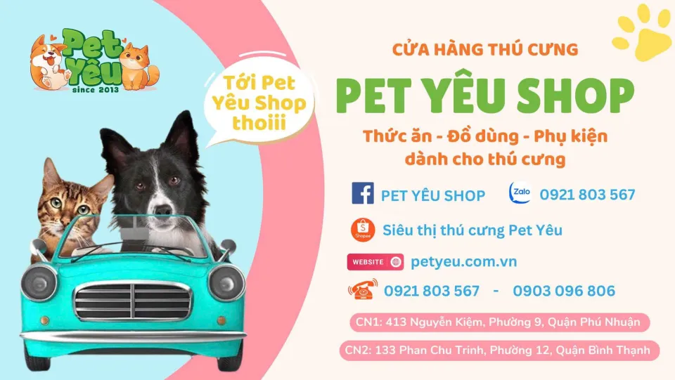 Khuyến mãi Pet Shop