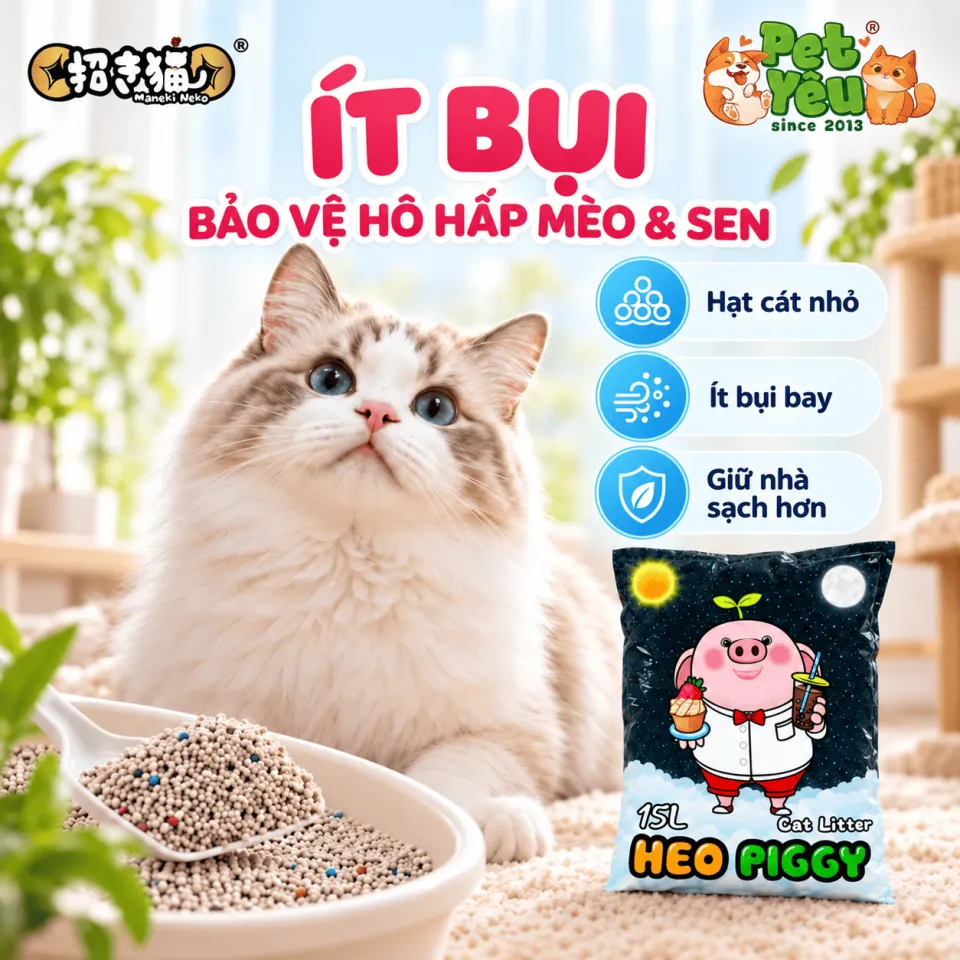 Cát Vệ Sinh Cho Mèo Heo Piggy Maneki Neko Hương Cà Phê 15L ( Túi 7Kg)