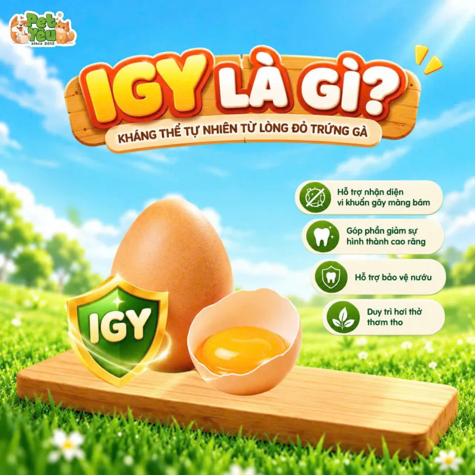 Xương Gặm Que Dẻo Dog Like Chewy Cho Chó - Túi 80G