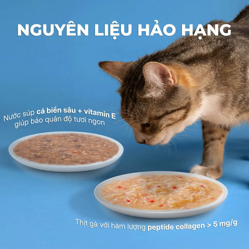 Pate Viên tinh thể chức năng FAENBEI cho mèo từ 3 tháng tuổi -  Túi 70G