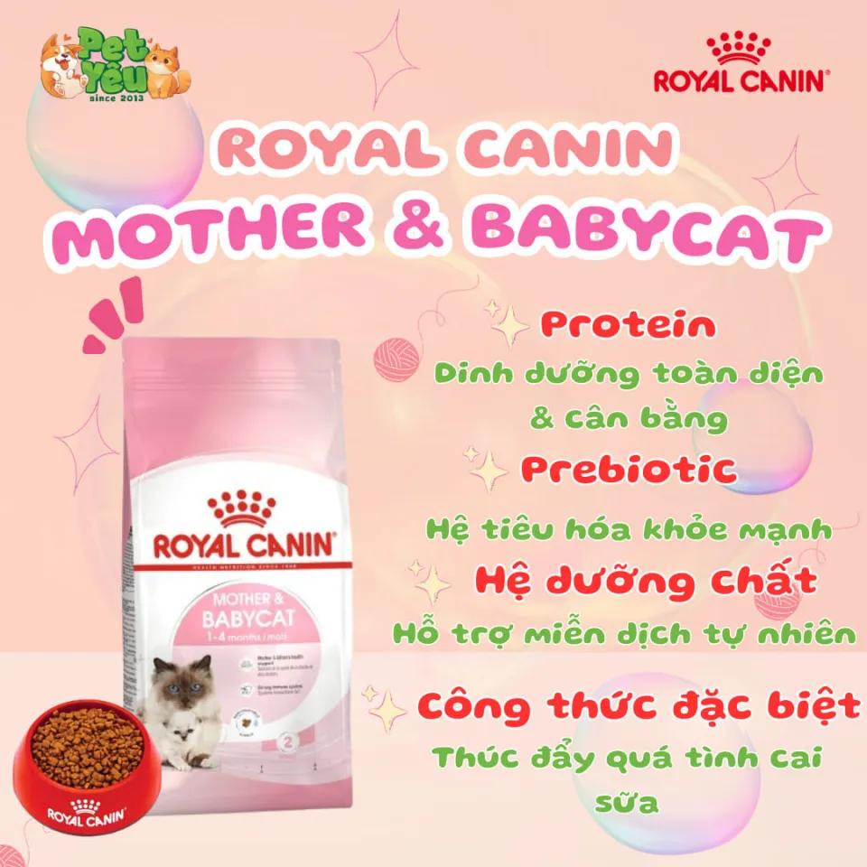 Thức ăn hạt Royal Canin dành riêng cho mèo mẹ & mèo con