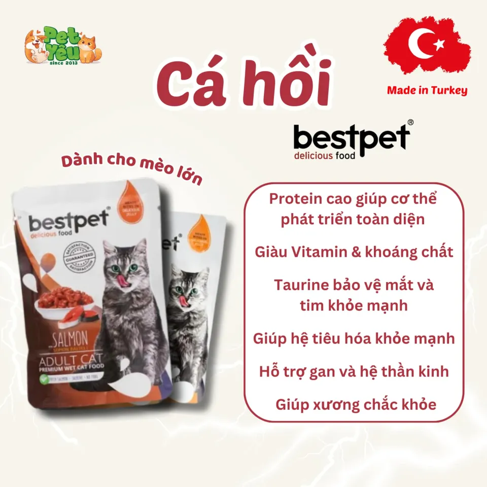 Pate Bestpet- Đặc Sản Thổ Nhĩ Kỳ Cho Mèo (Gói 85G)