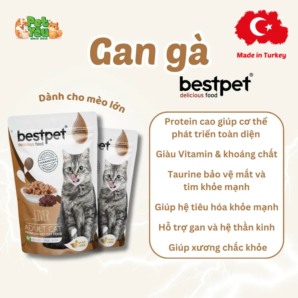 Pate Bestpet- Đặc Sản Thổ Nhĩ Kỳ Cho Mèo (Gói 85G)