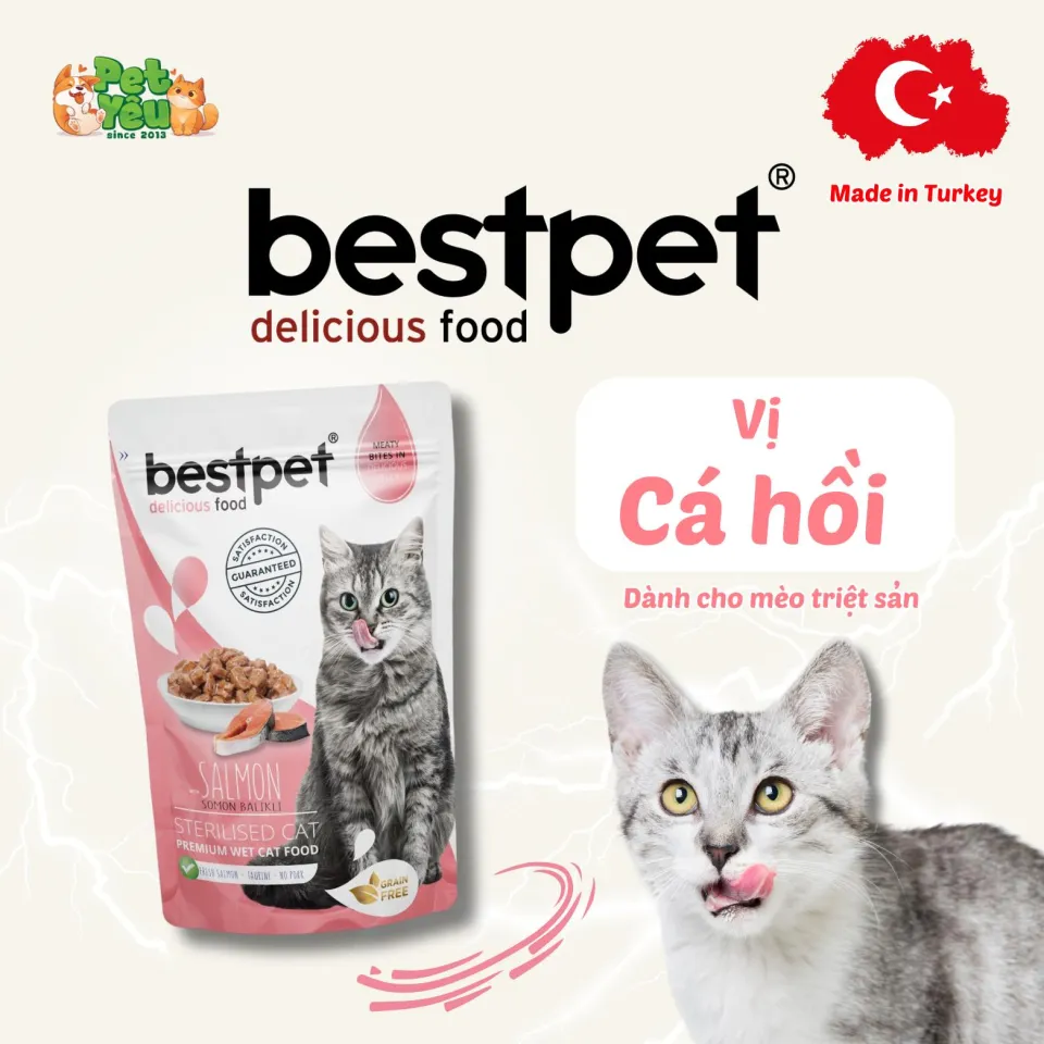 Pate Bestpet- Đặc Sản Thổ Nhĩ Kỳ Cho Mèo (Gói 85G)