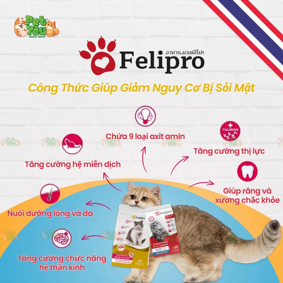 Thức Ăn Hạt Dành Cho Mèo Felipro Nhập Khẩu Thái Lan