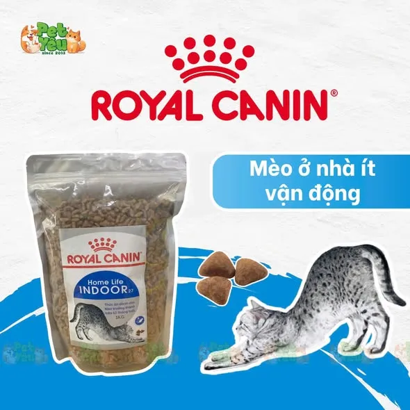 Thức ăn hạt Royal Canin Indoor cho mèo trưởng thành nuôi trong nhà