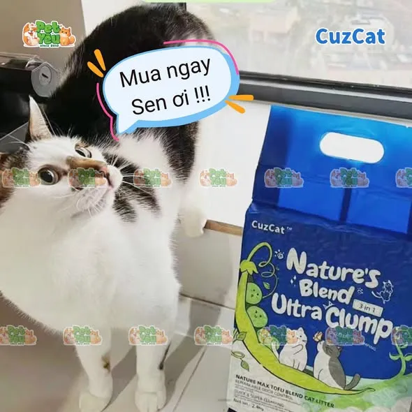 Cát đậu nành Cuzcat Nature's Blend Ultra Clump 3in1 - 6L