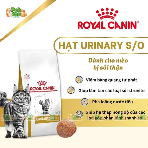 Hạt Royal Canin Urinary S/O dành cho mèo bị sỏi thận