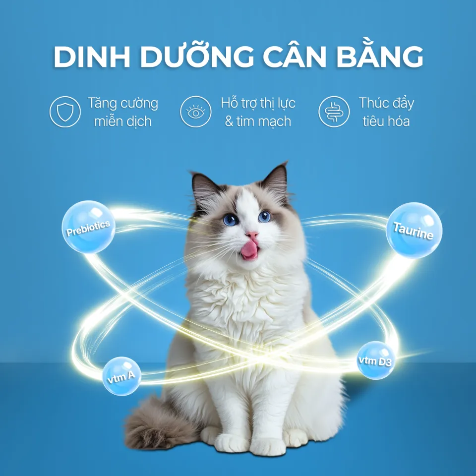 Pate sữa dê cho mèo từ 3 tháng tuổi FAENBEI - Túi 85G