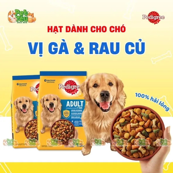 Thức ăn hạt Pedigree dành cho chó lớn - Túi 500Gr và 3Kg