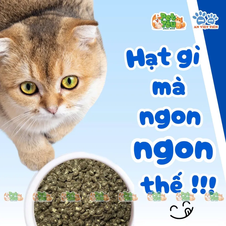 Thức ăn hạt dành cho mèo 5Plus CatMix- Bao 5Kg