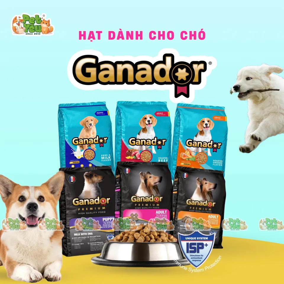 Hạt Ganador Premium dành cho chó