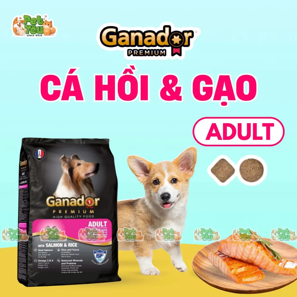 Hạt Ganador Premium dành cho chó