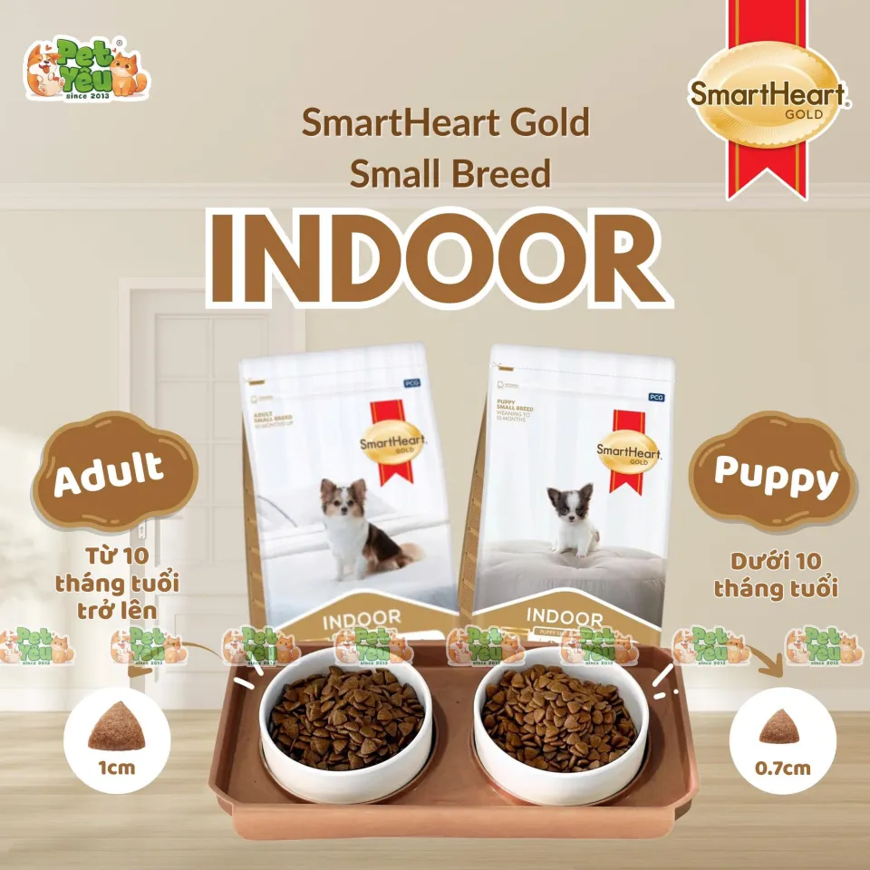 Hạt cho chó SMARTHEART GOLD INDOOR