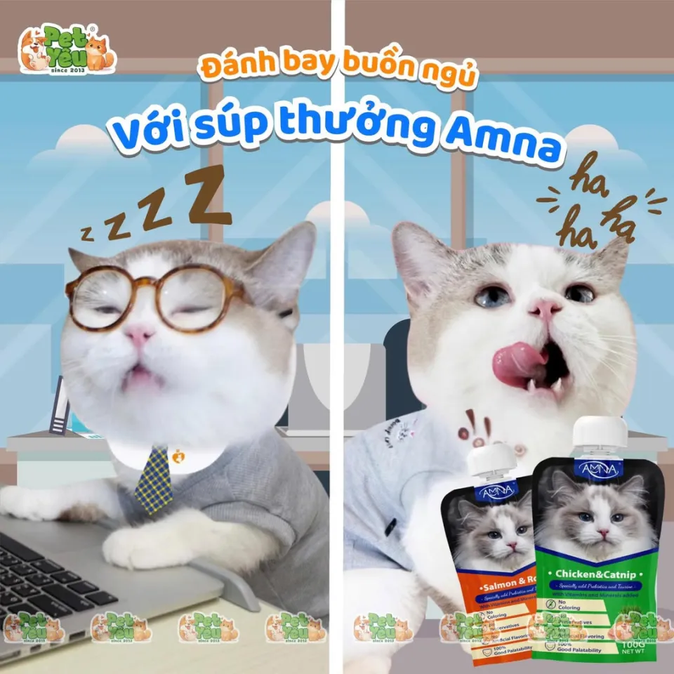 Súp Thưởng Mèo Amna Nắp Vặn 100G