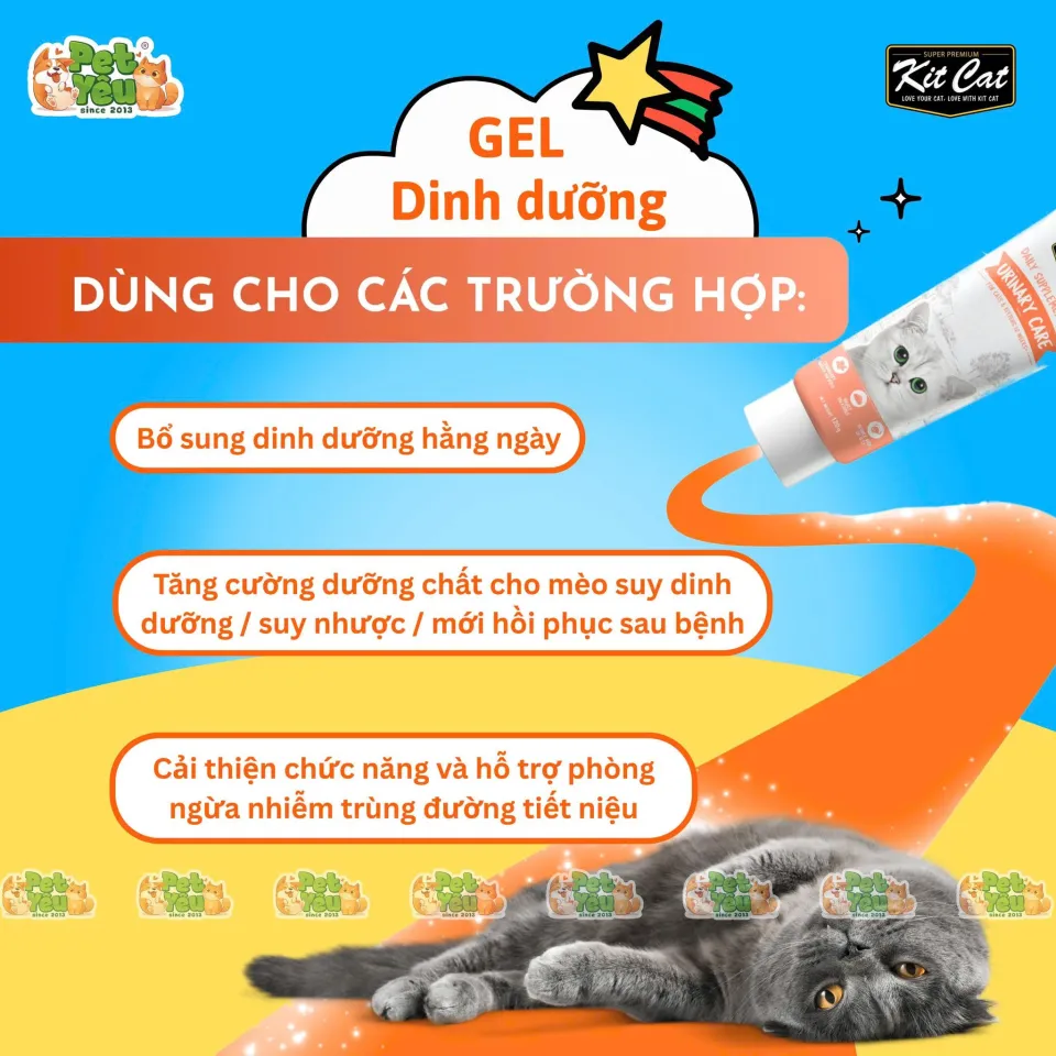 GEL DINH DƯỠNG 𝐊𝐈𝐓 𝐂𝐀𝐓 CHO MÈO CƯNG
