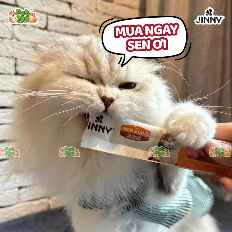 Súp thưởng dành cho mèo JINNY - Túi 75G ( 5Gói x 15G)