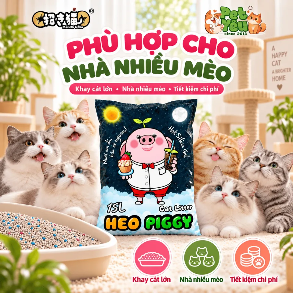 Cát Vệ Sinh Cho Mèo Heo Piggy Maneki Neko Hương Cà Phê 15L ( Túi 7Kg)