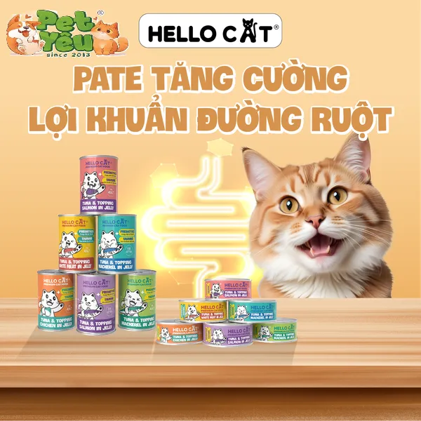 Pate cho mèo HELLO CAT lon 400g
