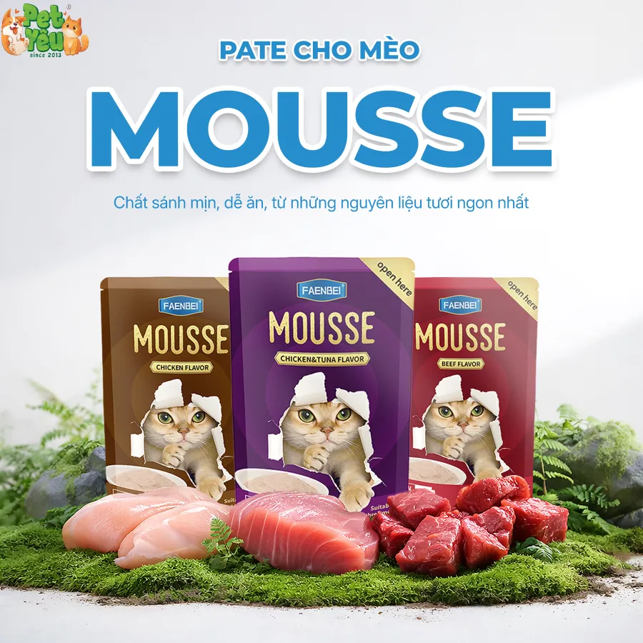 Pate Mousse FAENBEI cho mèo từ 3 tháng tuổi - Túi 85G