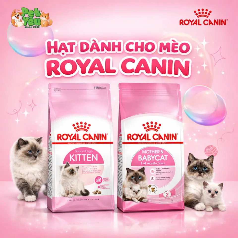 Thức ăn hạt Royal Canin dành riêng cho mèo mẹ & mèo con